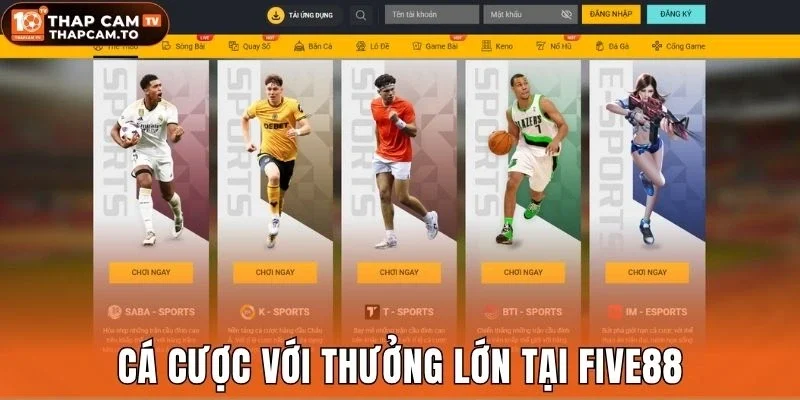 Cá cược với thưởng lớn tại Five88