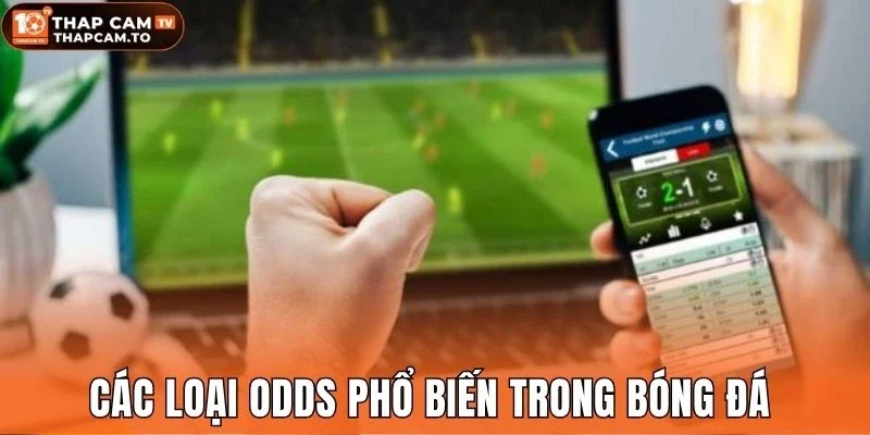 Các loại odds phổ biến trong bóng đá 