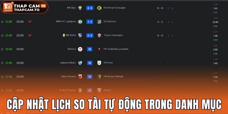 Cập nhật lịch so tài tự động trong danh mục