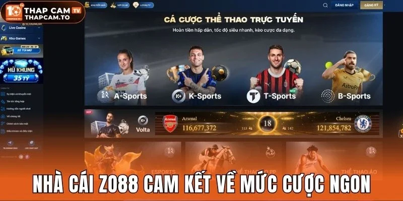 Nhà cái Zo88 cam kết về mức cược ngon
