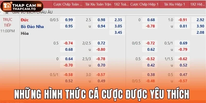 Những hình thức cá cược được yêu thích 
