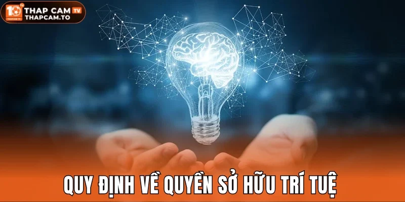 Quy định về quyền sở hữu trí tuệ