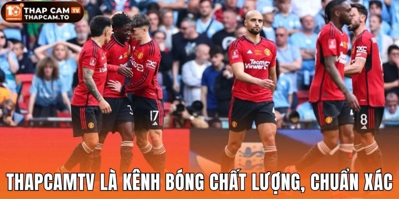 Thapcamtv là kênh bóng chất lượng, chuẩn xác
