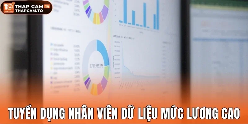 Tuyển dụng nhân viên dữ liệu mức lương cao