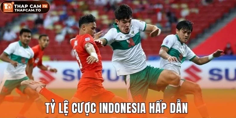 Tỷ lệ cược Indonesia hấp dẫn 