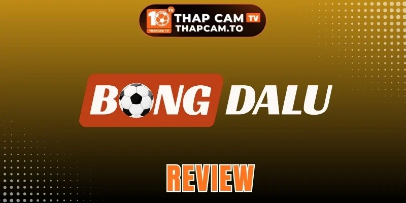 Bongdalu - Kênh Theo Dõi Và Nhận Định Bóng Đá Trực Tuyến
