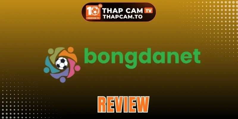 Bongdanet - Nền Tảng Thông Tin Bóng Đá Hàng Đầu Hiện Nay