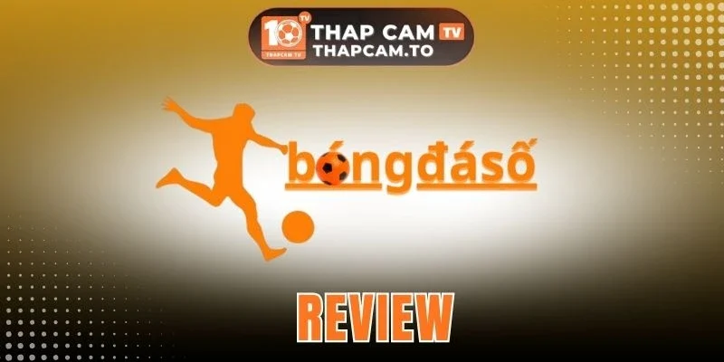 Bongdaso - Trang Thông Tin Bóng Đá Cập Nhật Dữ Liệu Nhanh