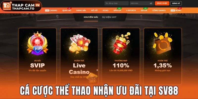 Cá cược thể thao nhận ưu đãi tại Sv88