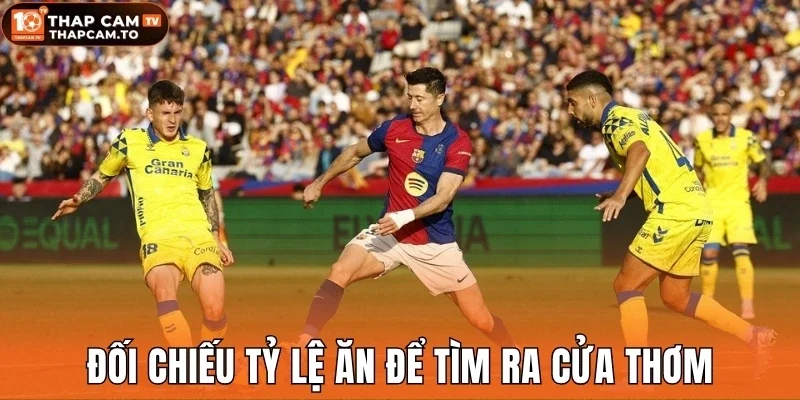 Đối chiếu tỷ lệ ăn để tìm ra cửa thơm