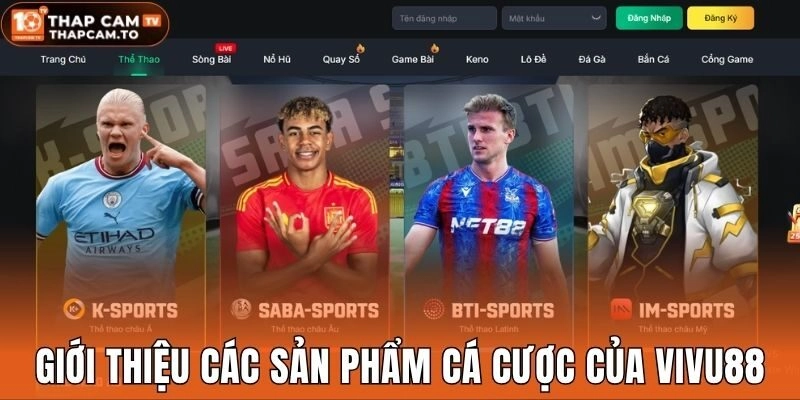 Giới thiệu các sản phẩm cá cược của Vivu88