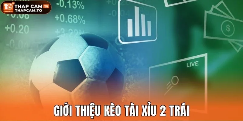 Giới thiệu kèo tài xỉu 2 trái