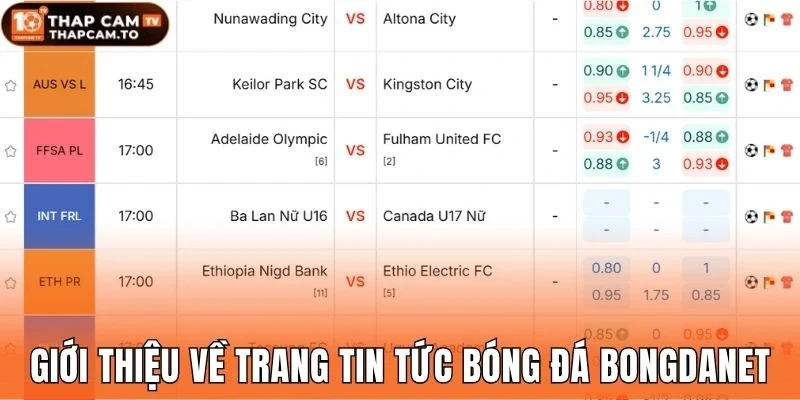Giới thiệu về trang tin tức bóng đá Bongdanet