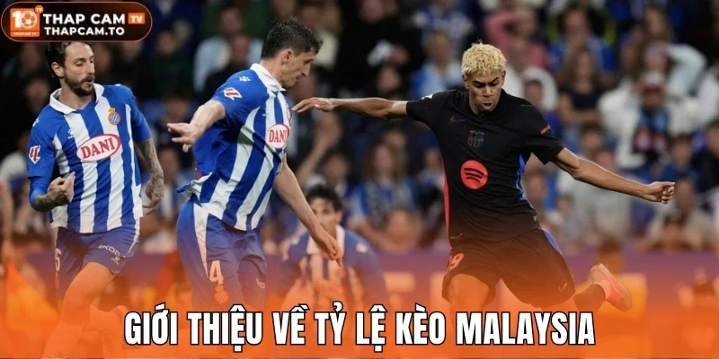 Giới thiệu về tỷ lệ kèo Malaysia