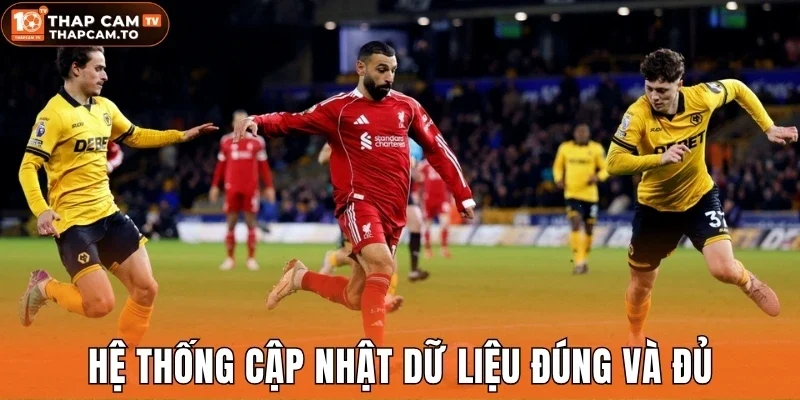 Hệ thống cập nhật dữ liệu đúng và đủ