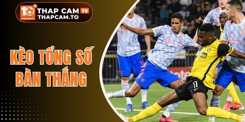 Kèo Tổng Số Bàn Thắng - Kiểu Cược Phụ Không Nên Bỏ Qua