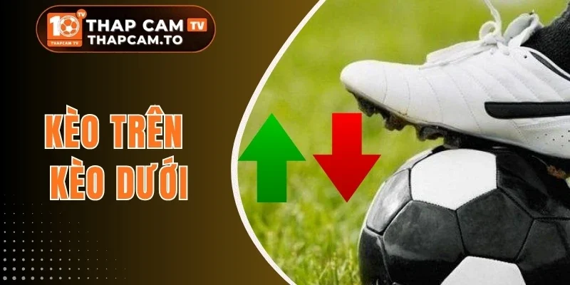 Kèo Trên Kèo Dưới - Cách Hiểu Tỷ Lệ Cược Và Chọn Cửa