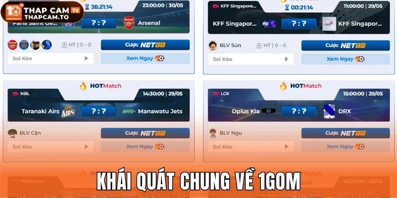 Khái quát chung về 1Gom