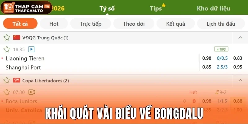Khái quát vài điều về Bongdalu
