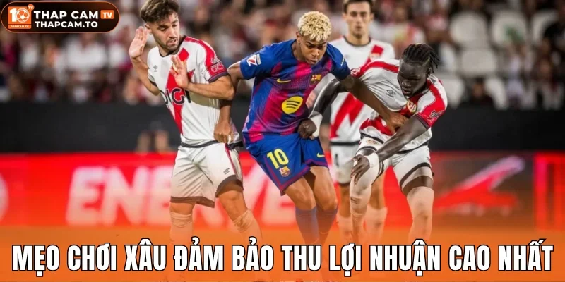 Mẹo chơi xâu đảm bảo khả năng thu lợi nhuận cao nhất