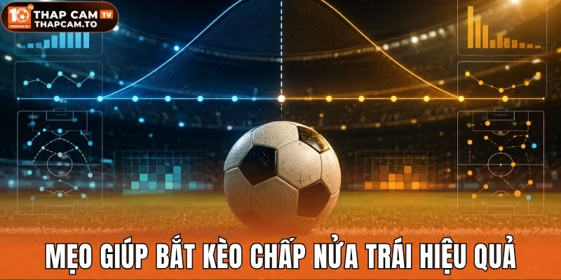 Mẹo giúp bắt kèo chấp nửa trái hiệu quả