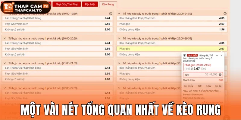 Một vài nét tổng quan nhất về loại hình kèo rung