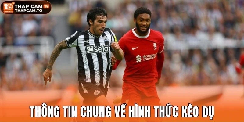 Thông tin chung về hình thức kèo dụ