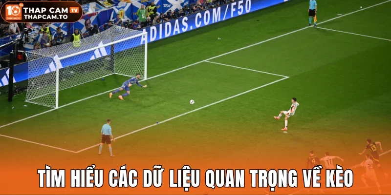 Tìm hiểu các dữ liệu quan trọng về kèo để phân tích
