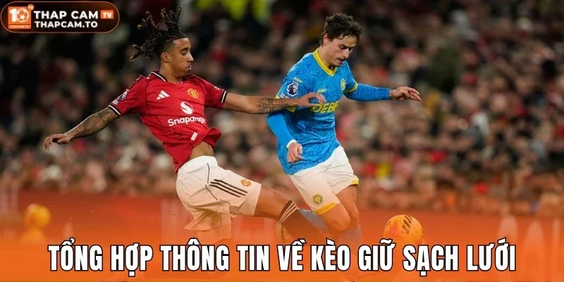 Tổng hợp thông tin về kèo giữ sạch lưới