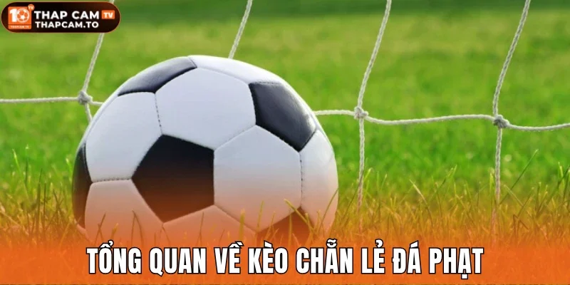 Tổng quan về kèo chẵn lẻ đá phạt