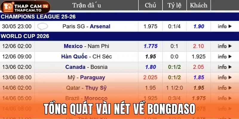 Tổng quát vài nét về Bongdaso