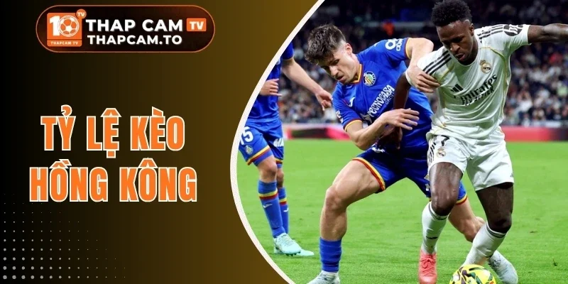 Tỷ Lệ Kèo Hồng Kông - Bí Kíp Làm Chủ Cuộc Chơi Nhanh Chóng