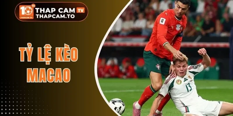 Tỷ Lệ Kèo Macao - Cập Nhật Kiến Thức Để Cá Cược Hiệu Quả