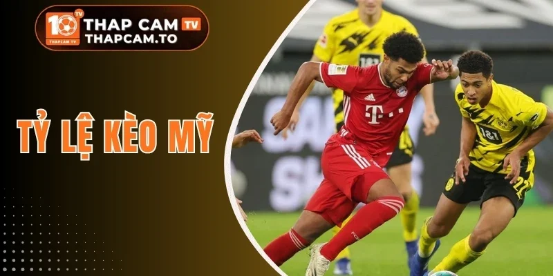 Tỷ Lệ Kèo Mỹ - Giải Mã Cách Chơi Thực Chiến Cực Dễ Thắng